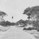 carte ancienne du phare du cap ferret bordé de pins