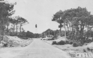 carte ancienne du phare du cap ferret bordé de pins