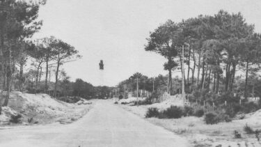 carte ancienne du phare du cap ferret bordé de pins