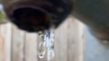 robinet d'eau exterieur, une palissade en bois se devine derrière