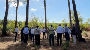Un groupe de personne en cercle sous des pins