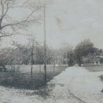 carte postale de taussat montrant 3 jeunes femmes dans un parc