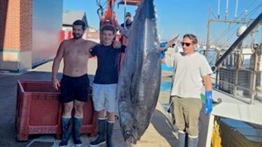 trois homme pose à coté d'un thon de 254kg sur un port de peche
