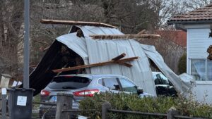 amas de taules et de bois tombé sur une voiure