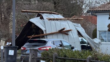 amas de taules et de bois tombé sur une voiure