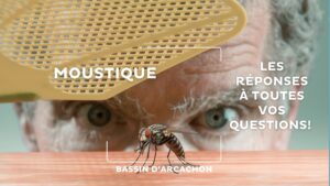 un homme derrière une table on ne voit que ses yeux qui dépassent, il tient une tapette pour écraser un moustique. Texte: "Moustiques: les réponses à toutes vos questions"