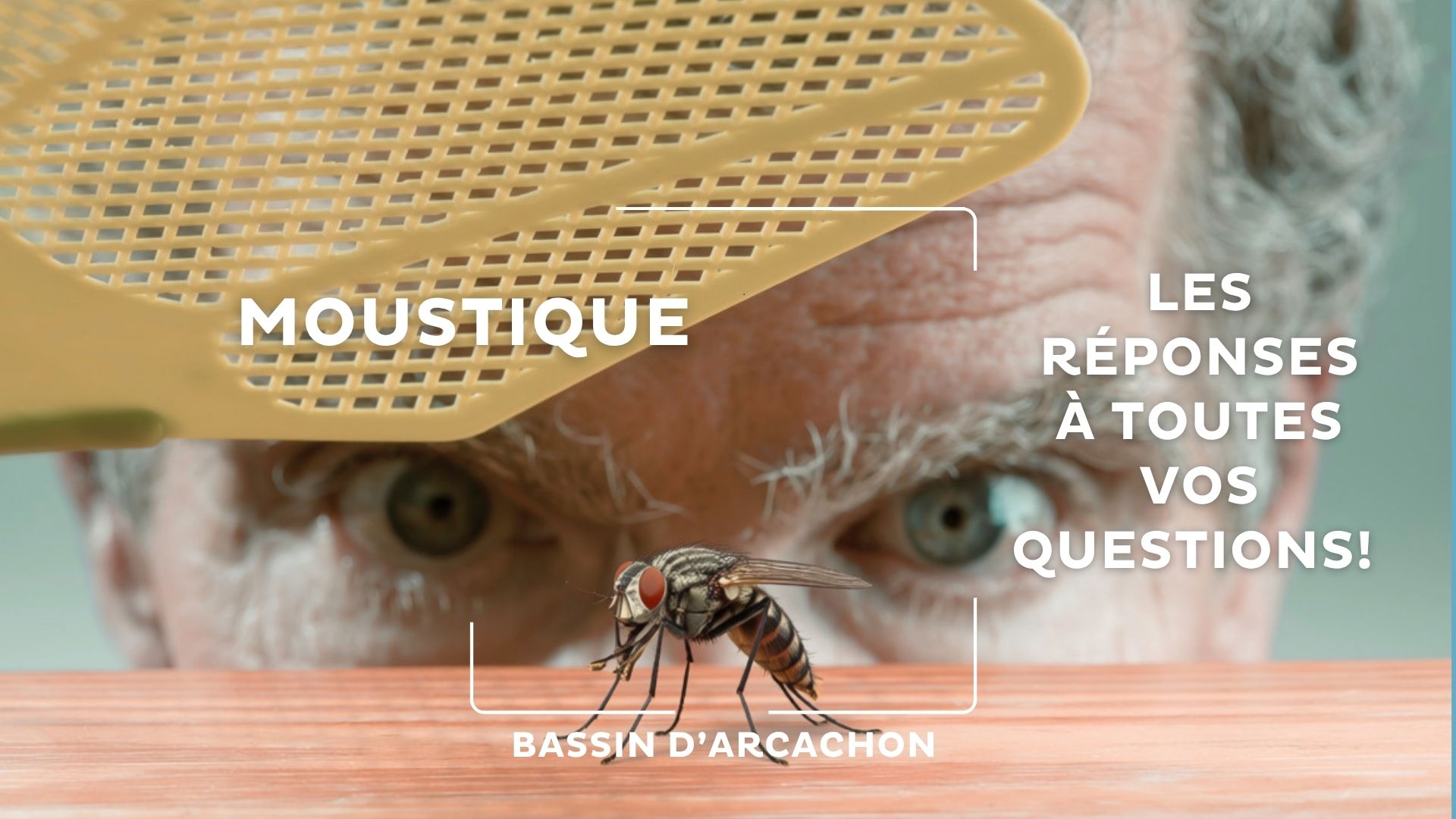 un homme derrière une table on ne voit que ses yeux qui dépassent, il tient une tapette pour écraser un moustique. Texte: "Moustiques: les réponses à toutes vos questions"