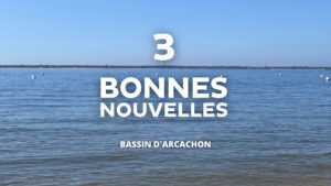 en fod : image de la plage du pyla sur laquelle on aperçoit le phare du cap ferret texte : 3 bonnes nouvelles bassin d'arcachon
