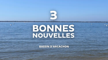 en fod : image de la plage du pyla sur laquelle on aperçoit le phare du cap ferret texte : 3 bonnes nouvelles bassin d'arcachon