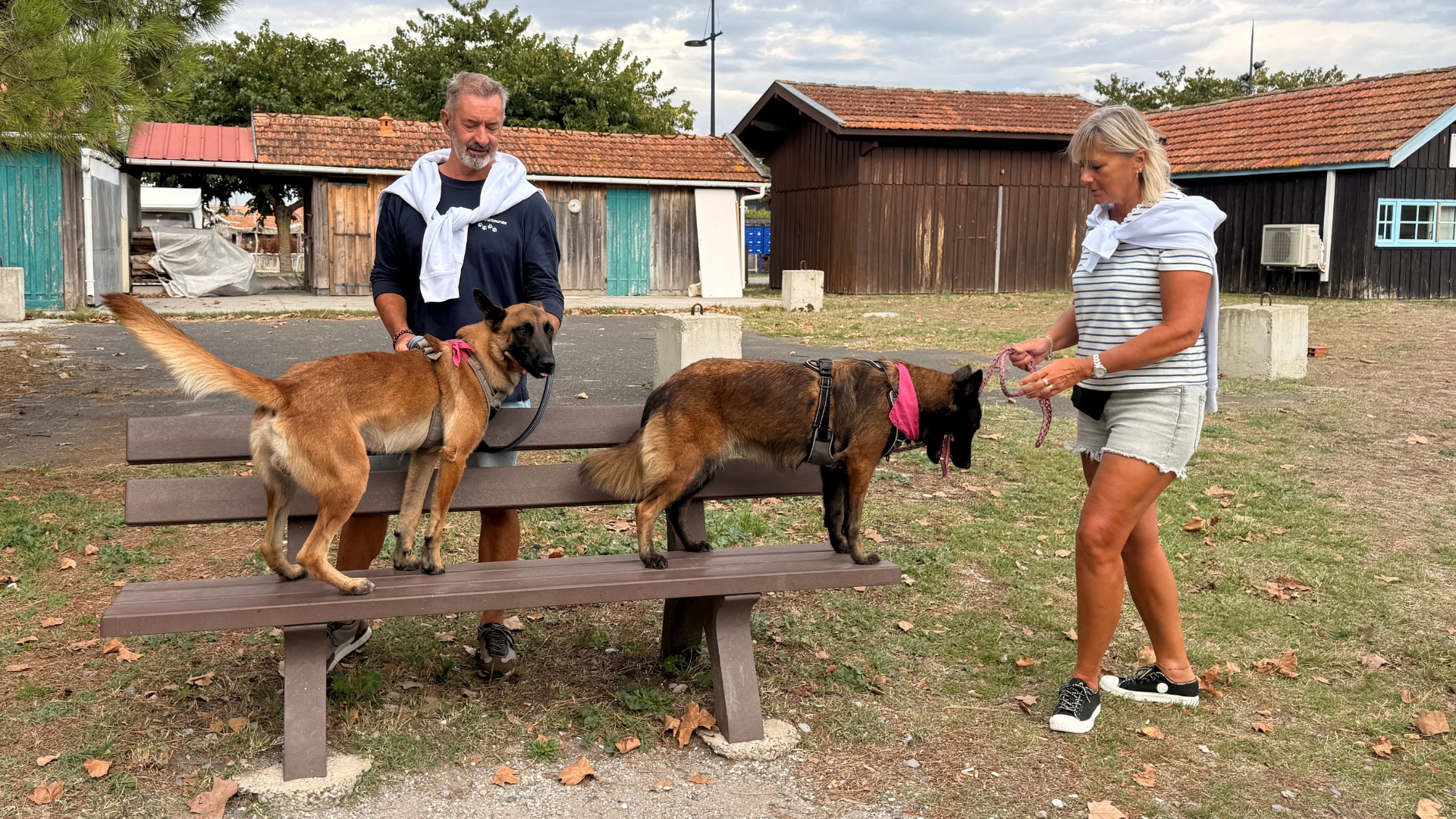 2 chiens sur un banc tenus en laisse par deux adultes debout au milieu du port de la teste