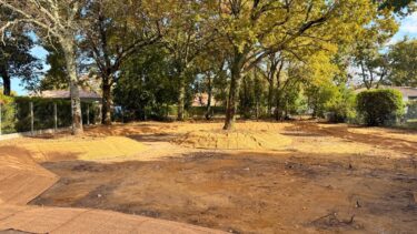dans un quartier de gujan-mestras, un grand fossé appelé "noue" est creusé au milieu des arbres