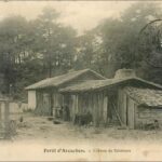 cabanes en bois dans la foret