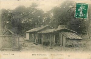 cabanes en bois dans la foret