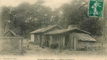 cabanes en bois dans la foret