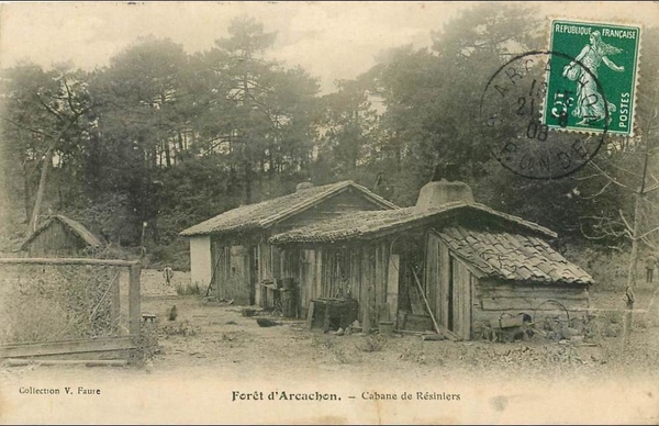 cabanes en bois dans la foret